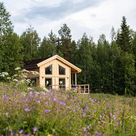 Blueberry Lodge 5 Personnes Mjolan Exterior photo