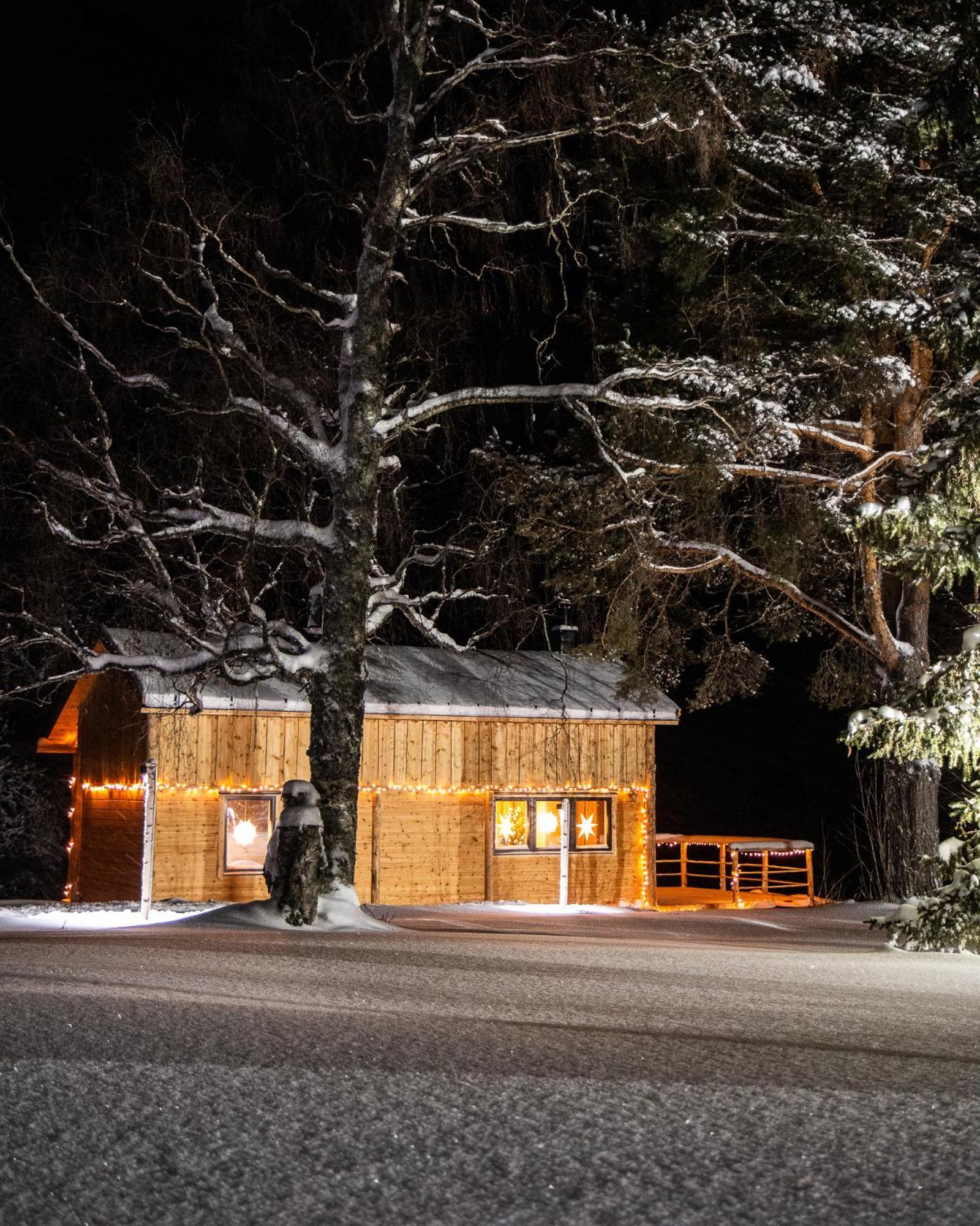 Blueberry Lodge 5 Personnes Mjolan Exterior photo